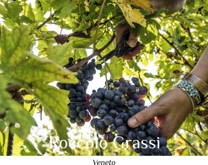 Roccolo Grassi