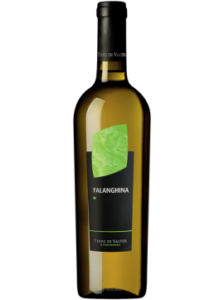 Terre di Valter Falanghina