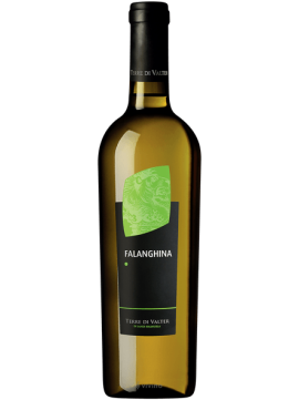 Terre di Valter Falanghina