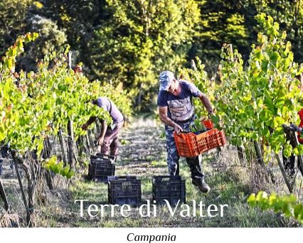 Terre di Valter